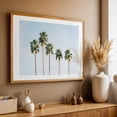 thumbnail image 5 of Palms, Palm Springs 01 - Palm Springs California Photography Unframed Wall Art Print 20 x 30 inches, 5 of 7