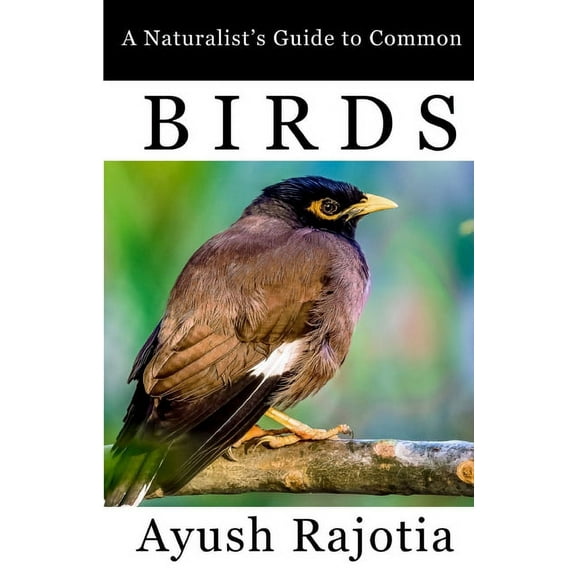 A Naturalist's Guide to Common Birds, (Paperback)
