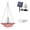 Pink, variant on Sentmoon Window Bird Feeder Bird Feeder Squirrel Proof Explosion Outdoor Garden Garden Floating Hanging Solar Bird Feeder Birdbath Feeder