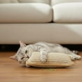 thumbnail image 2 of Interactive Catnip Chew Toy with 6000mg A+ Organic Catnips, Catnip Kicker Pillow Sisal, Indoor Kitten Scratching and Kicker Toys, Drives Bored Cats Crazy with Fun Interactive Chew, 2 of 6