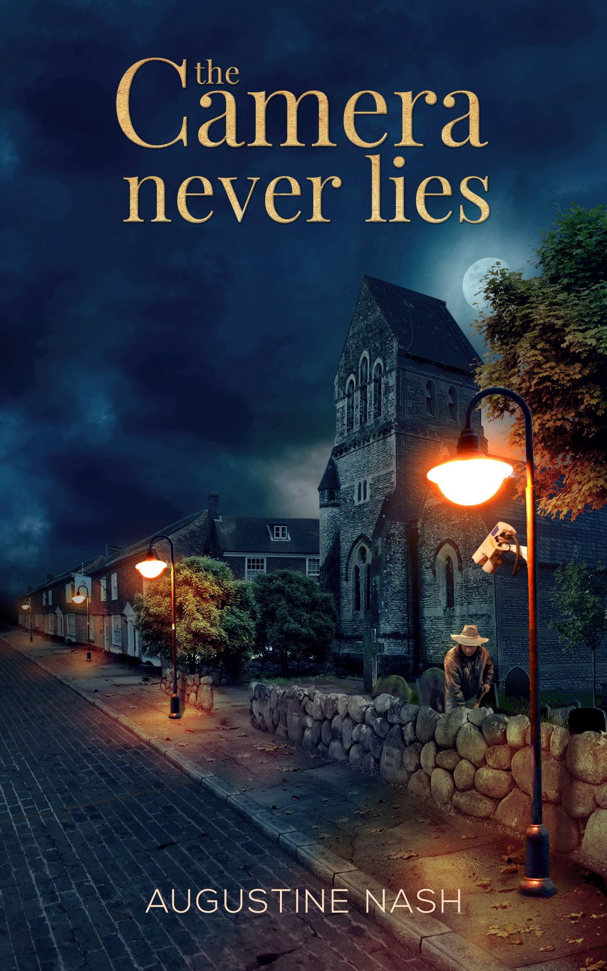 The Camera Never Lies eBook