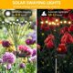 thumbnail image 2 of 4-Pack Solar Garden Lights, 10 LED Waterproof IP65 Outdoor Solar Lights for Yard, Balcony - Warm White, Energy Class C, 2 of 5