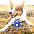 thumbnail image 2 of Dog Toys for Small Dogs Pet Play Ball Puppy Aggressive Chewers Blue, 2 of 8