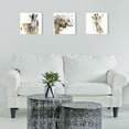 thumbnail image 5 of Great Art Now Water Zebra, Elephant & Gifaffe with Gold by Patricia Pinto 3 Piece Canvas Art Set Each 14"W x 14"H, 5 of 5