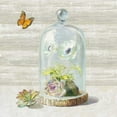 thumbnail image 2 of Nai, Danhui 26x26 White Modern Wood Framed Museum Art Print Titled - Succulent Garden I, 2 of 4