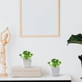 thumbnail image 4 of 8pcs simulation succulents flower head little fairy DIY accessories supplies plant wall home decoration-type:style1;, 4 of 6
