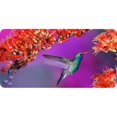 thumbnail image 1 of Blue Hummingbird With Flowers Photo License Plate, 1 of 1