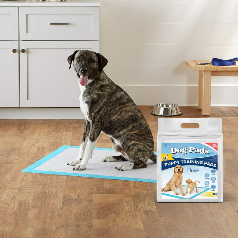 Pet all star xxl top training pads 100 count