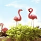 thumbnail image 4 of flamencos péndulo resina jardín animales en maceta insertos Micro, 4 of 5