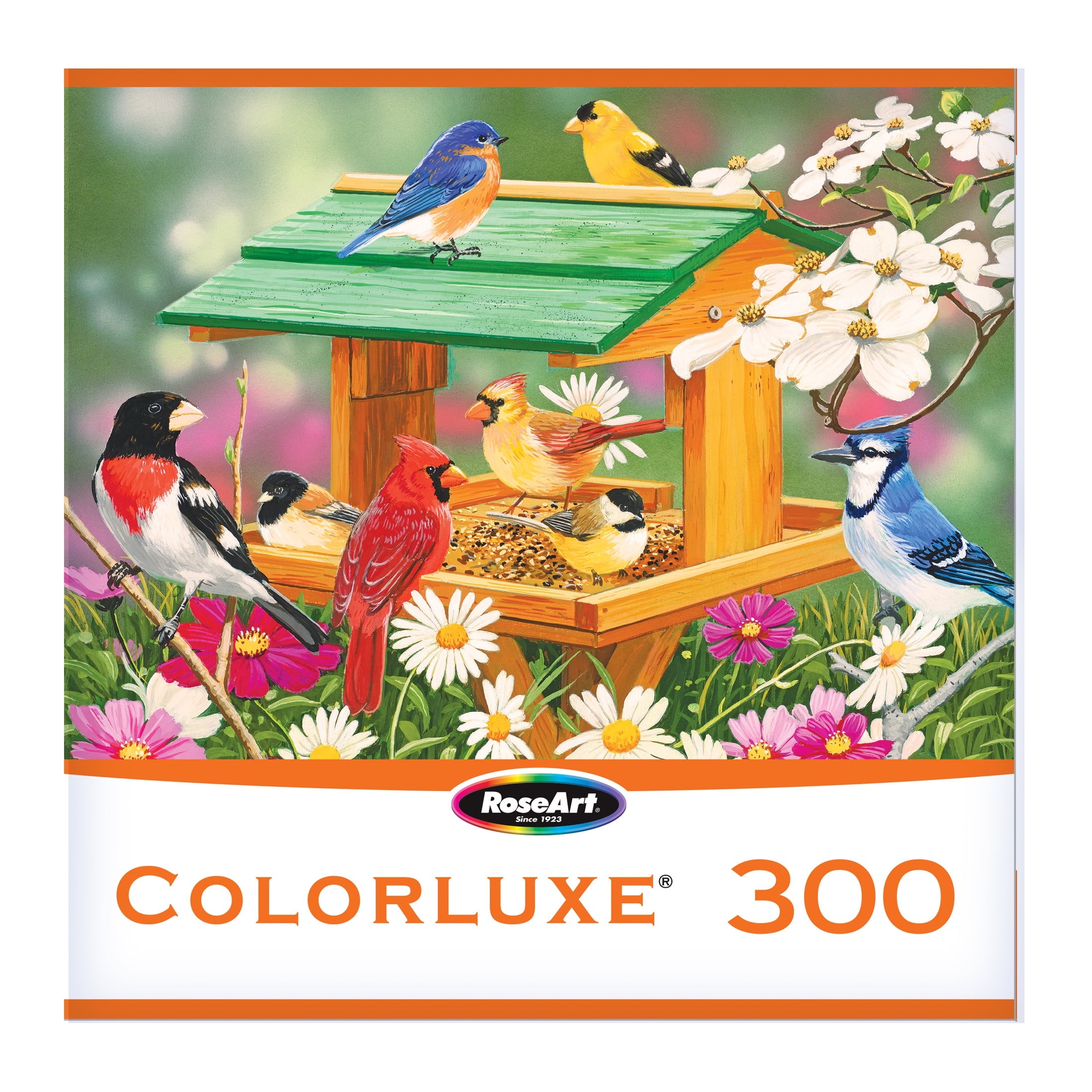 ColorLuxe 300pc Backyard Birds Spring Feast