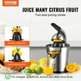 BENTISM 300W Electric Citrus Juicer, Stainless Steel, Two Size Cones