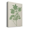 thumbnail image 2 of Vintage Garden I Premium Gallery Wrapped Canvas - Ready to Hang, 2 of 9
