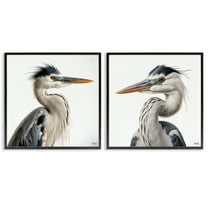 Stupell Industries Young Heron Birds Animals Painting Black Framed Art Print Wall Art, 17 x 17, Set of 2