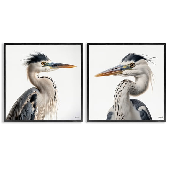 Stupell Industries Young Heron Birds Animals Painting Black Framed Art Print Wall Art, 17 x 17, Set of 2