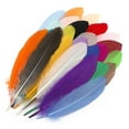 thumbnail image 4 of 25 plumas de colores variados, colores vibrantes, suaves, elegantes, plumas naturales ampliamente utilizadas para manualidades, decoración de bricolaje, 4 of 15