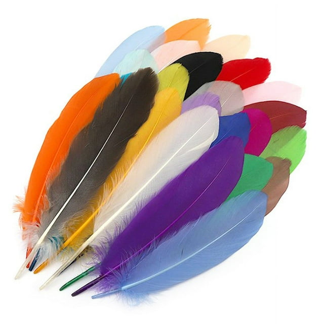 Plumas de colores, 25 piezas de plumas de colores, plumas naturales surtidas, plumas de colores, multifuncionales