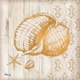 thumbnail image 3 of Gango Home Decor Coastal Distressed Beach Decor | Gold & Brown Saint Tropez Shell Nautical by Paul Brent (Ready to Hang); Two 12x12in Brown Framed Prints, 3 of 5