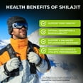 thumbnail image 3 of Healblend Organic Himalayan Shilajit Gummies 600mg - Optimal Health, Energy & Immunity Support for Men & Women, Natural Fruit Flavor - 60 Gummy, 3 of 9