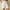 White, variant on MRULIC shorts for women Cotton Waist Women Linen Elastic Summer Womens Casual Shorts Shorts And High Solid Waist Women's Shorts Light blue + XL
