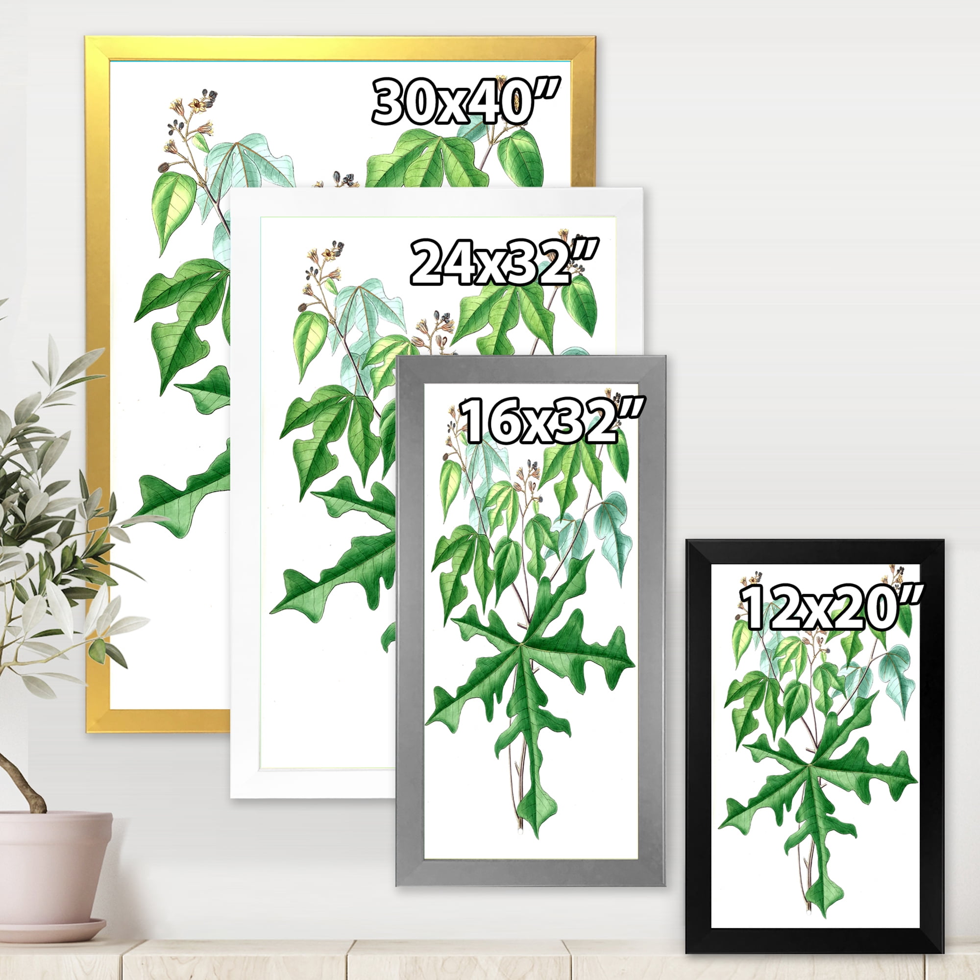 Designart 'Ancient Drawing of Wild Plants' Traditional Framed Art Print