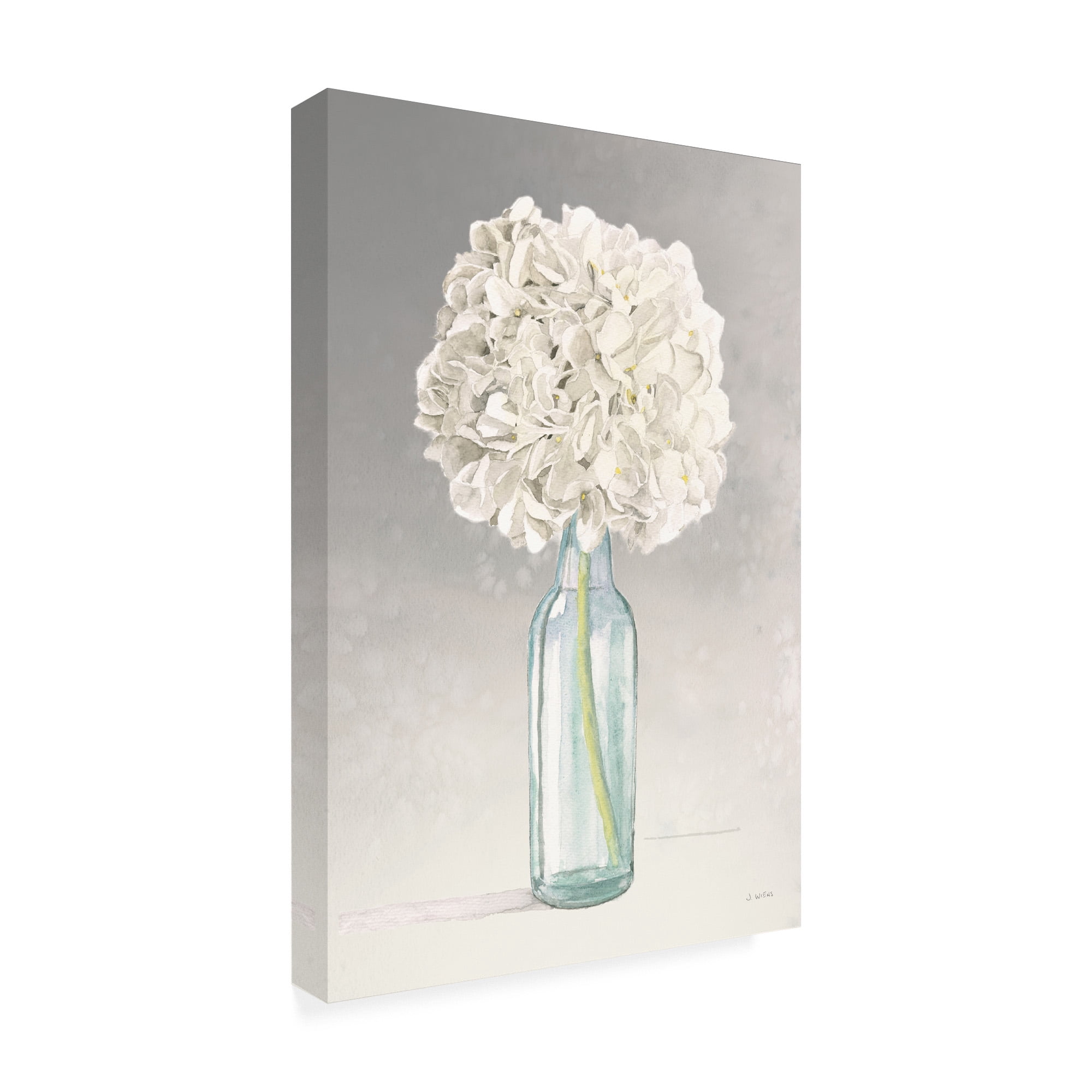 Trademark Fine Art 'Tranquil Blossoms II' Canvas Art by James Wiens