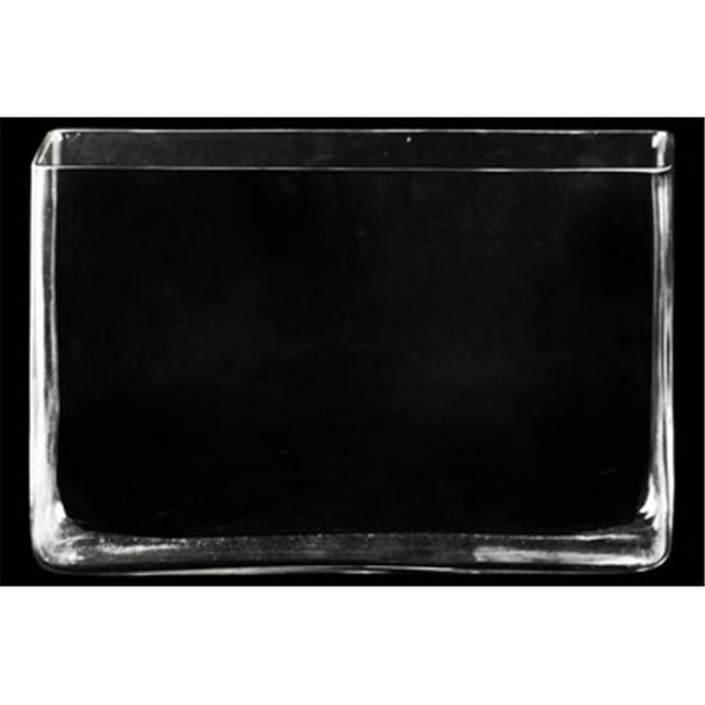 Glass Rectangular Vase with Rectangular Mouth, Clear Glass Finish - Achromatic