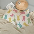 thumbnail image 4 of Easter Pillow Covers 18x18 Inch Set of 2, Colorful Bunny Decor Spring Farmhouse Throw Pillows Easter Decorations Rabbit Pillowcase Square Linen Outdoor Cushion Case for Couch Home Decorative, 4 of 6