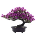 thumbnail image 1 of Plante Simulée Bonsaï de Pin Décoration Intérieure avec Ornements Floraux, 1 of 11