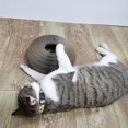 thumbnail image 4 of Tabla rascadora para gatos Organ Magic Cat Rascador de juguete con campanillas de viento para gatos Tabla rascadora G, 4 of 4