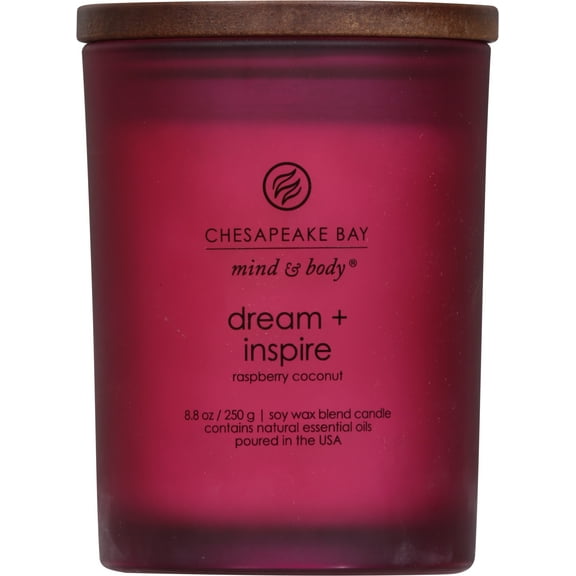 Chesapeake Bay Candle PT41689 Candle, Forest Honey