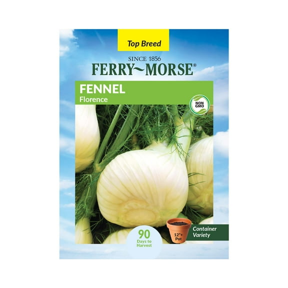 Ferry-Morse 310MG Fennel Florence Perennial Vegetable Seeds, Full Sun