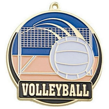 Medallion 2.5 Inch Silver Medallion - Simba HTM250G 2 in. High Tech Medallion Volleyball, Gold - Pack of 25