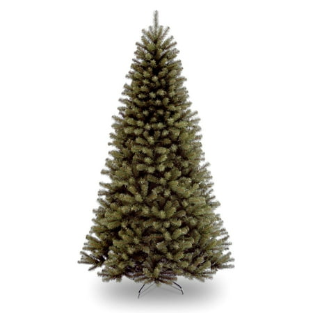12 ft. North Valley Spruce Tree