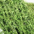 thumbnail image 4 of Heno para mascotas, heno de alfalfa, heno de alfalfa seco, alimento para mascotas, alimento para hierba para mascotas, construcción robusta, 4 of 6