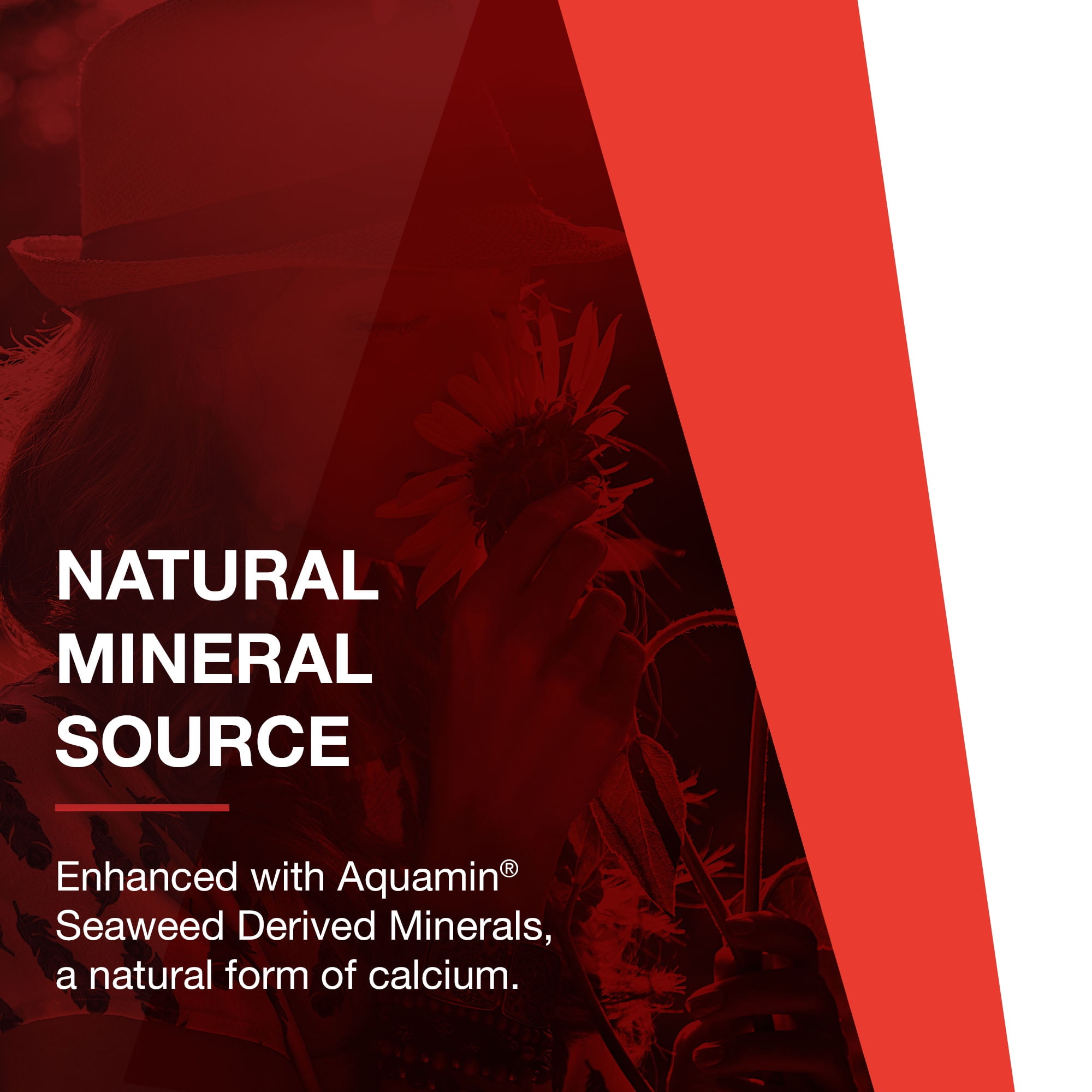 Protocol Joint-UC - Joint and Immune Support - Collagen Type 2, Seaweed Minerals - 60 Veg Caps