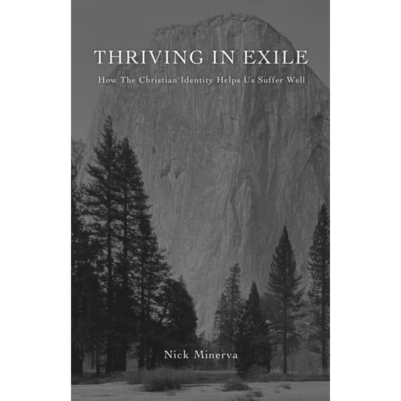 Thriving In Exile: How The Christian Identity Helps Us Suffer Well, (Paperback)