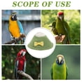 thumbnail image 3 of FESTFENDS Parrot Accessories Bird Collar Green Polar Fleece for Post-surgery Recovery 1Pcs, 3 of 8