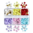 thumbnail image 5 of SmartBy 1 Box 3D Flower Nail Art Charm 6 Grids Resin Floral Charms Golden Beads DIY Nail Design Jewelry Crafts Manicure Decoration Accessories, 5 of 7