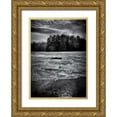 thumbnail image 1 of Carson, Brian 14x18 Gold Ornate Wood Framed with Double Matting Museum Art Print Titled - Gullwing 1, 1 of 4