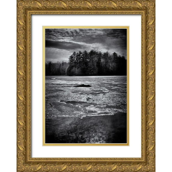 Carson, Brian 14x18 Gold Ornate Wood Framed with Double Matting Museum Art Print Titled - Gullwing 1