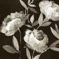 thumbnail image 3 of Jensen, Asia 15x15 Black Modern Framed Museum Art Print Titled - Peonies on Ebony, 3 of 5