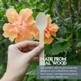 thumbnail image 2 of Firefly Hope 50 Count Disposable Wooden Spoons, 6" Eco-Conscious Biodegradable Utensils, Compostable Wooden Cutlery for Parties, Picnics & Daily Use, 2 of 5