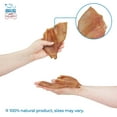 thumbnail image 5 of Best Pet Supplies - GigaBite All-Natural Whole Pig Ears for Dogs, 80 Count Box, 5 of 5