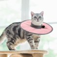 thumbnail image 2 of Adjustable Cat Collar  Cute Recovery Collar  Small Dog After Surgery for Kittens  Prevent from Licking Wounds, 2 of 6