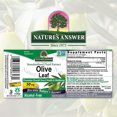 thumbnail image 2 of Nature's Answer | Extracto de hoja de olivo, 2 oz. Suplemento para la salud en general., 2 of 2