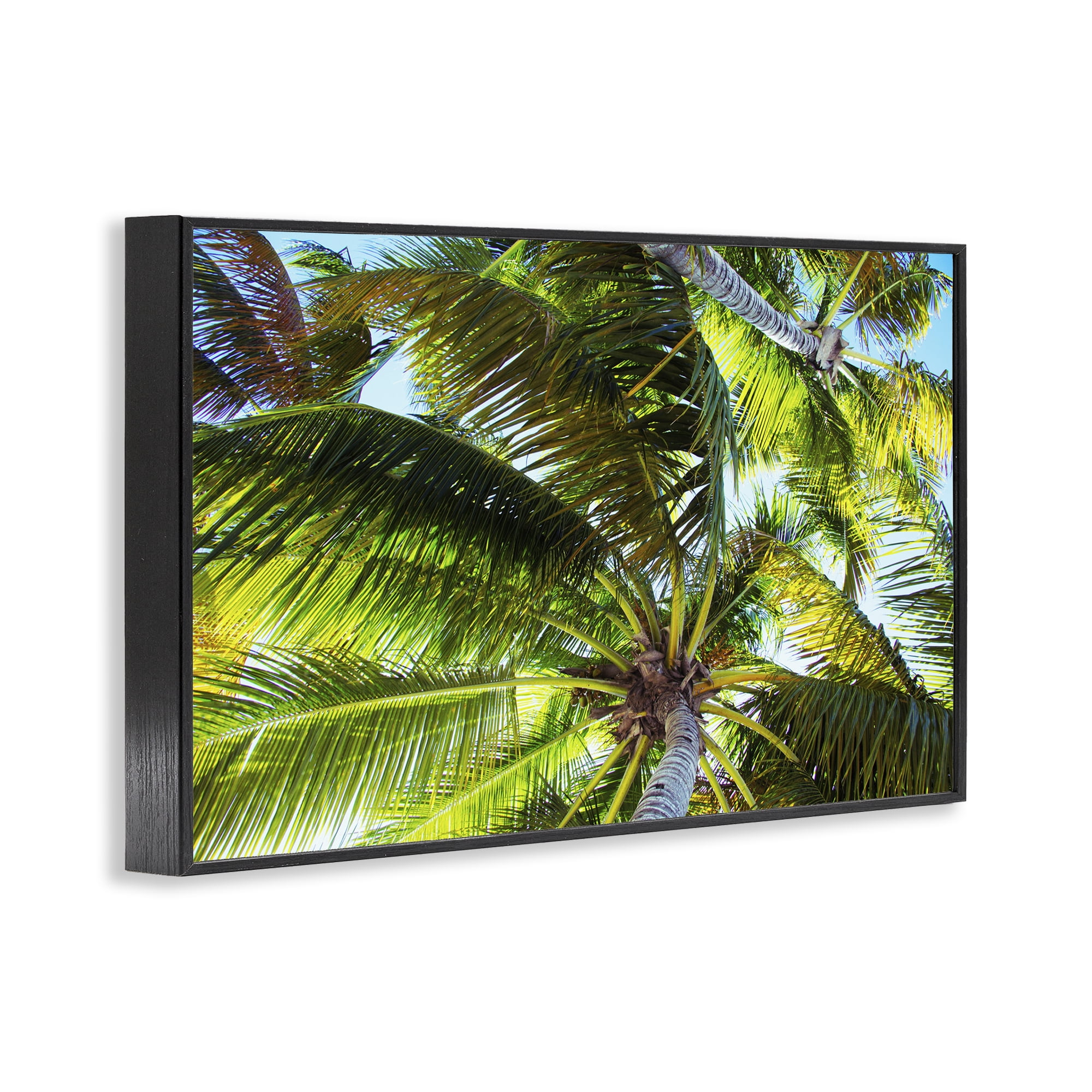 Stupell Industries Swaying Palm Leaves Botanical & Floral Photography Black Framed Art Print Wall Art, 30 x 20