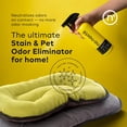 thumbnail image 2 of Pet Stain & Odor Eliminator Spray (16 Oz, Pack of 1) – Enzyme Cleaner Spray for Dogs & Cat Messes, Works on Carpets & Upholstery | Pet & Kid Safe, Urine Odor Stain Remover, Light Fresh Scent, 2 of 4