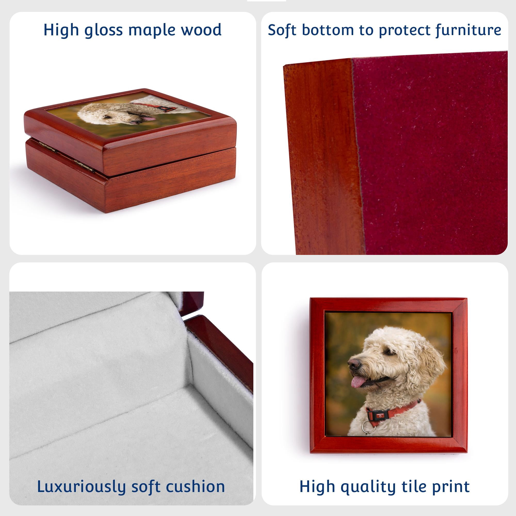 3dRose, Massachusetts, Reading, Labradoodle dog - US22 JEN0071 - Jim Engelbrecht, Jewelry Box 5.5x5.5 inch with 4 inch tile