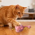 thumbnail image 4 of BotaniNest Interactive Moving Cat Automated Cat With Realistic Squeaky Sound For Bored Indoor Cats Self Play & Exercise, 4 of 6
