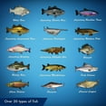 thumbnail image 3 of Legendary Fishing (PS4), 3 of 7